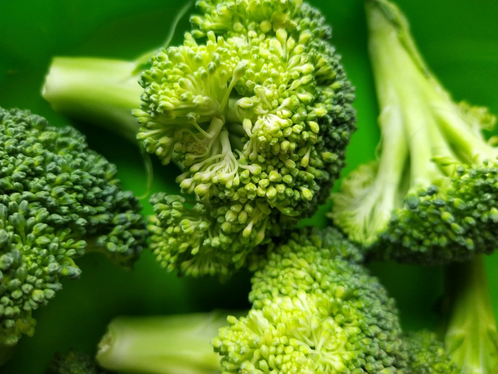 A collection of broccoli florets on a green background